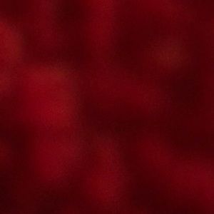 Meet your Posher, Briley